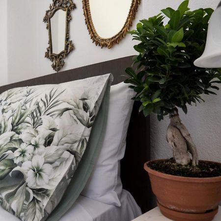 Santa Cruz Country Cottage Kallithea  외부 사진