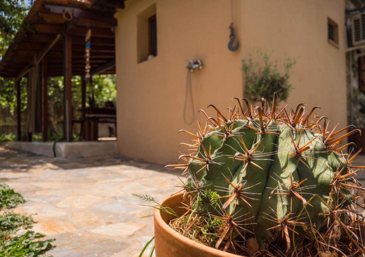 Santa Cruz Country Cottage Kallithea  외부 사진