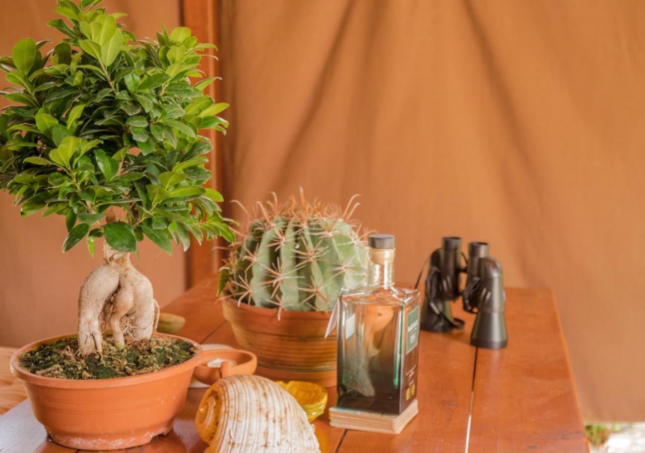 Santa Cruz Country Cottage Kallithea  외부 사진