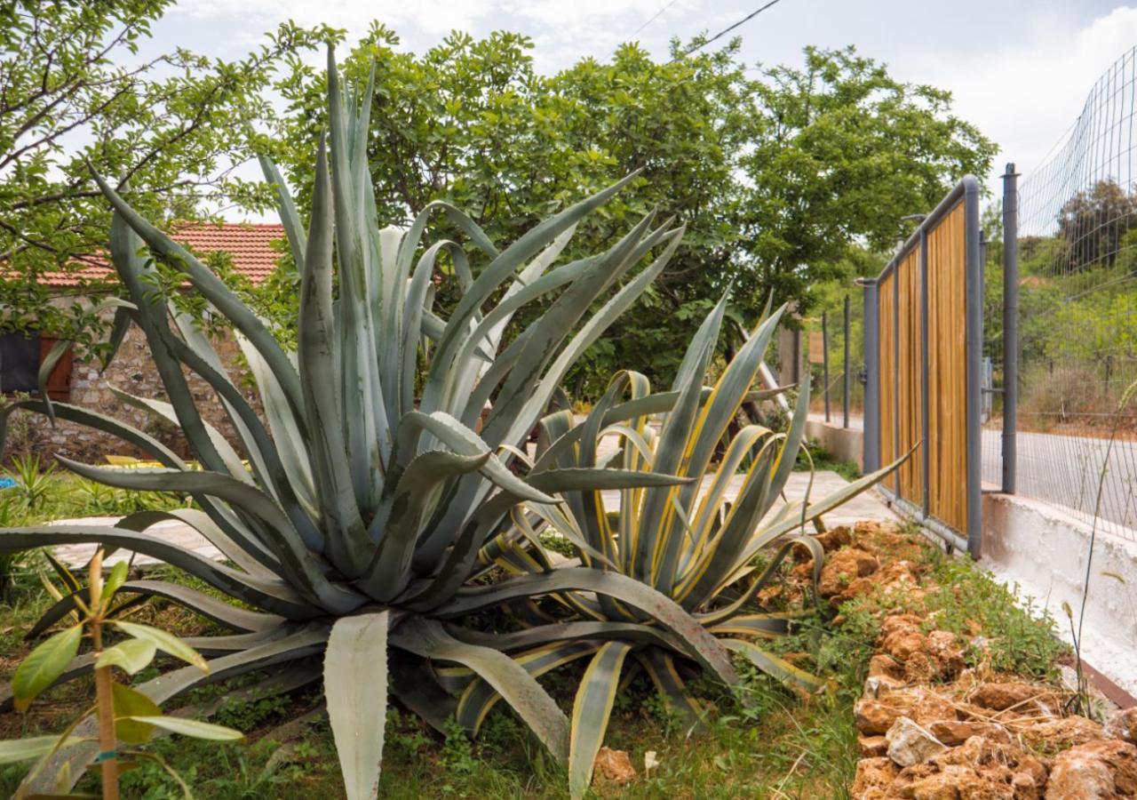 Santa Cruz Country Cottage Kallithea  외부 사진