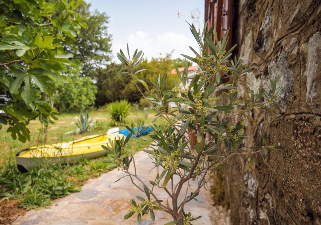 Santa Cruz Country Cottage Kallithea  외부 사진