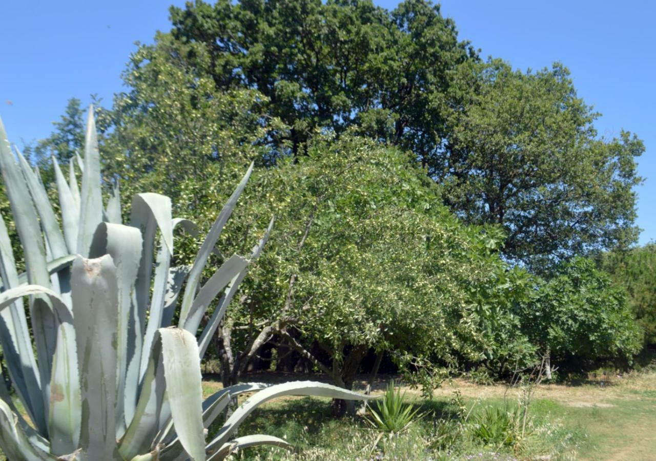 Santa Cruz Country Cottage Kallithea  외부 사진